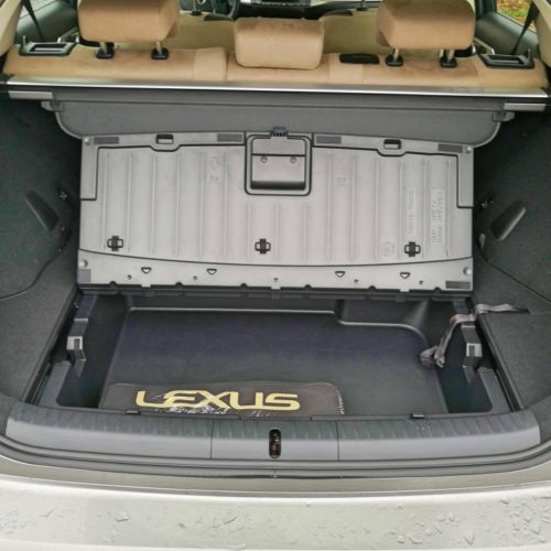 Lexus19